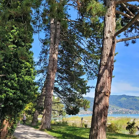 Nature Park 